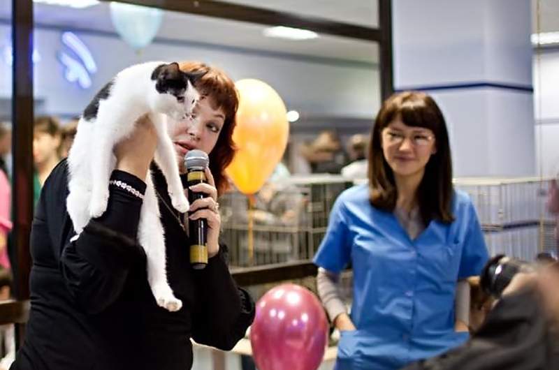 Благотворительная выставка бездомных животных собрала более 1000 сочувствующих