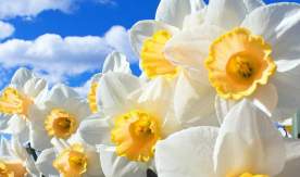 Поздравляем Гриванова Р.И. с защитой диссертации на соискание ученой степени кандидата политических наук