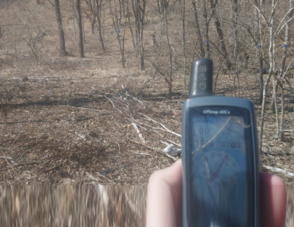 Структурно-функциональная организация растительных сообществ в условиях пространственного развития г. Владивосток