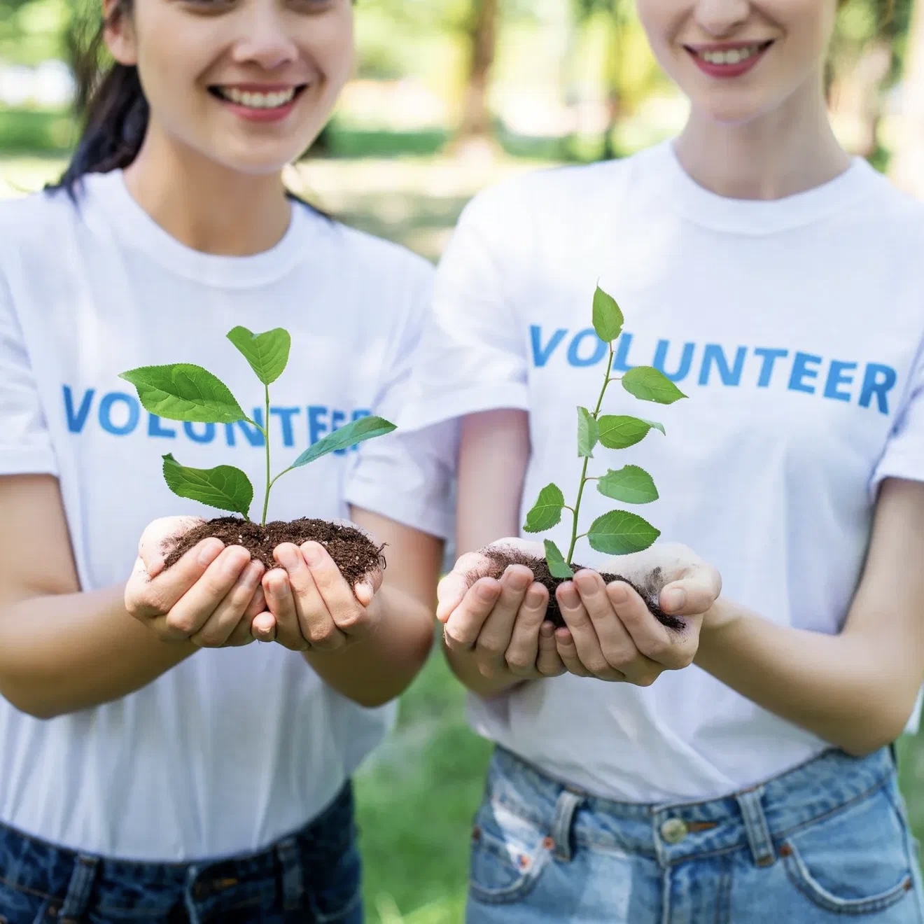 Реализовать добровольческие активности в Приморском крае для вовлечения целевой аудитории в добровольческую деятельность