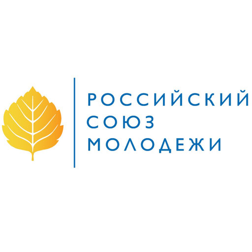 Создание и управление информационным пабликом общественного представительства Приморского РСМ