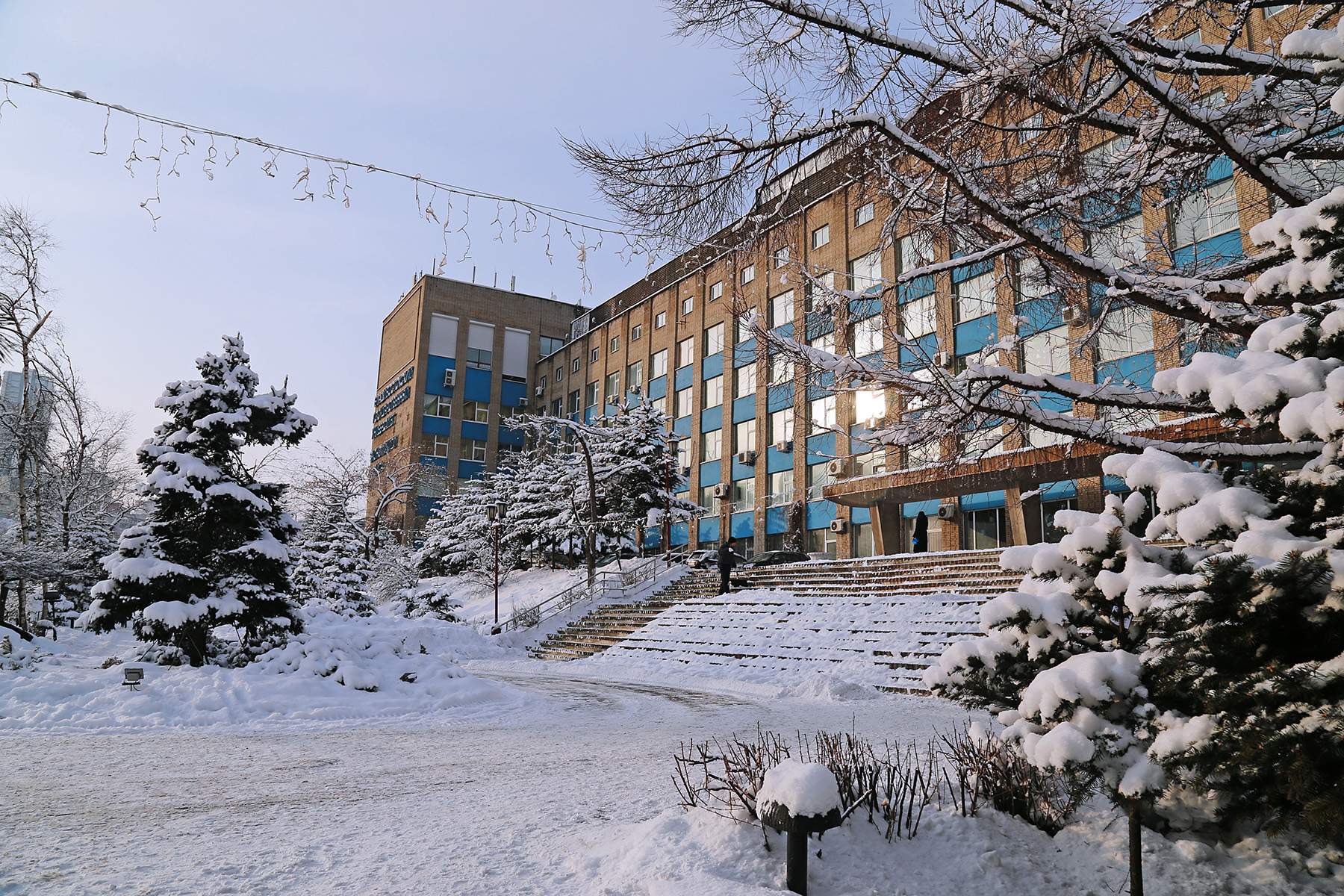 Зимняя сказка: первый новогодний снег во ВГУЭС