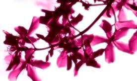 Поздравляем Гусева Е.Г. с присвоением ВАК ученой степени кандидата экономических наук